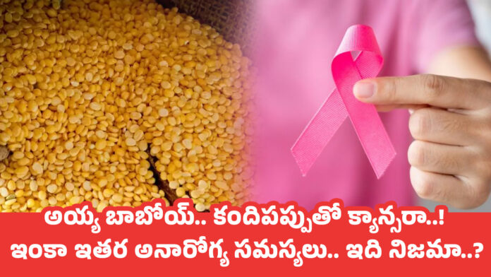 Health Problems : అయ్య బాబోయ్.. కందిపప్పుతో క్యాన్సరా..! ఇంకా ఇతర అనారోగ్య సమస్యలు.. ఇది నిజమా..?