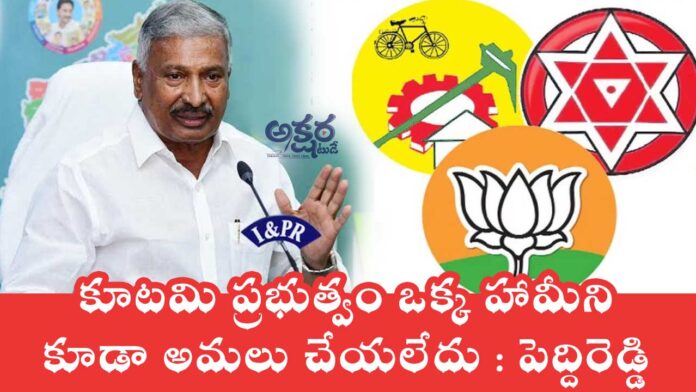 Peddi Reddy : కూటమి ప్రభుత్వం ఒక్క హామీని కూడా అమలు చేయలేదు : పెద్దిరెడ్డి