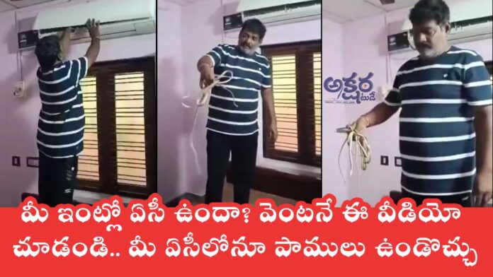 Snakes in AC : మీ ఇంట్లో ఏసీ ఉందా? వెంటనే ఈ వీడియో చూడండి.. మీ ఏసీలోనూ పాములు ఉండొచ్చు